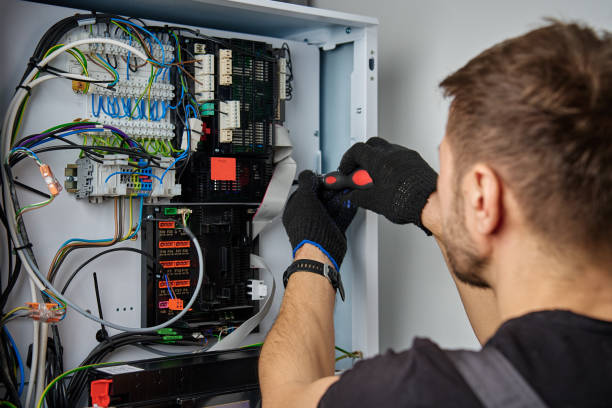 Licensed Electrical Panel Upgrade service in Lake Wilderness, VA - No Joke electrician